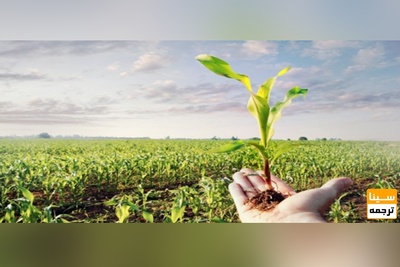 ترجمه تخصصی متون باغبانی