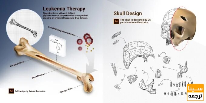 اینفوگرافیک