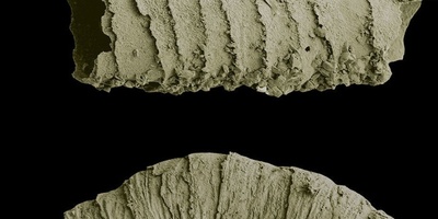 لیست مجلات ISI دیرینه شناسی