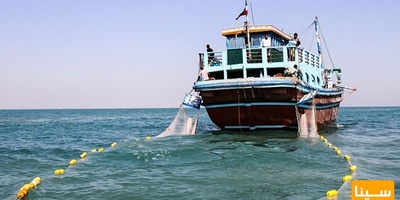 دانلود سوالات و پاسخنامه رشته علوم و مهندسی شیلات - تولید و بهره برداری آبزیان مقطع دکتری سال97-93