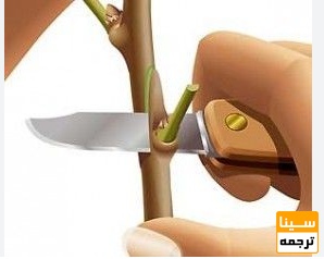 لیست مجلات ISI پیوند زدن