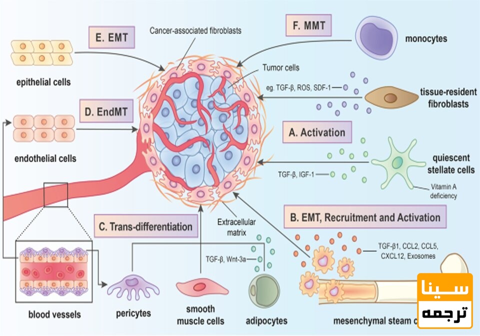اینفوگرافیک