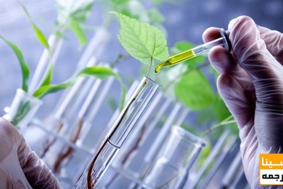 دانلود سوالات و پاسخنامه رشته بیوتکنولوژی مقطع دکتری سال96