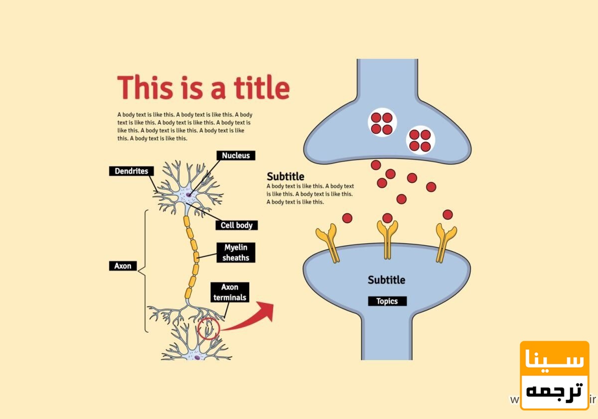 چکیده گرافیکی