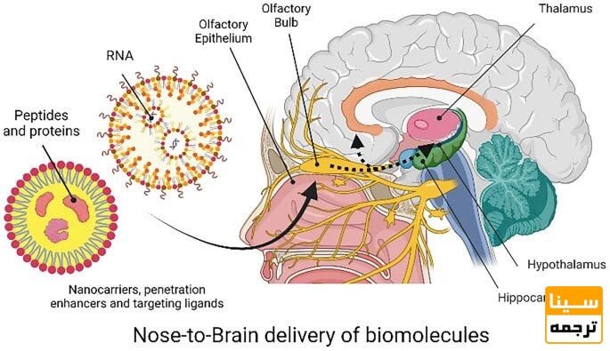 چکیده گرافیکی