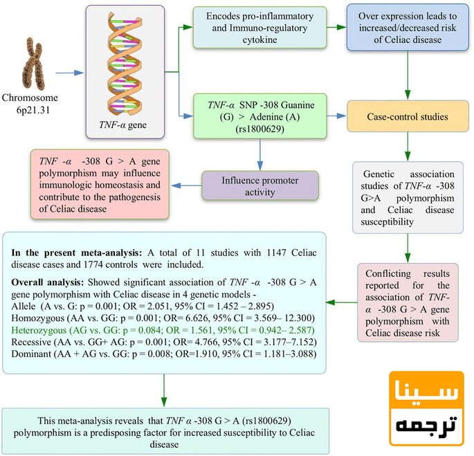 چکیده گرافیکی دیاگرام