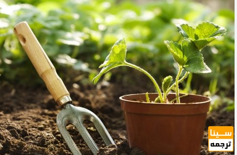 لیست مجلات ISI باغبانی