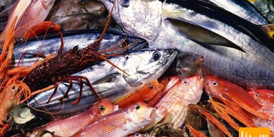 دانلود سوالات و پاسخنامه رشته علوم و مهندسی شیلات - تکثیر و پررش آبزیان مقطع دکتری سال97-94