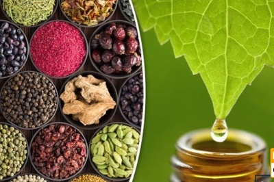 ثبت نام واحد درسی مجازی «آشنایی با مبانی طب ایرانی» از امروز آغاز می شود