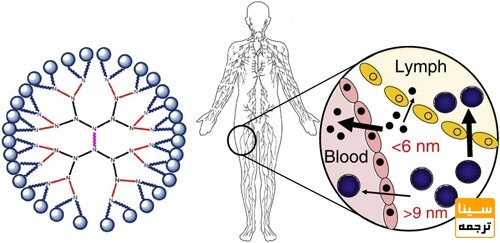 اینفوگرافیک