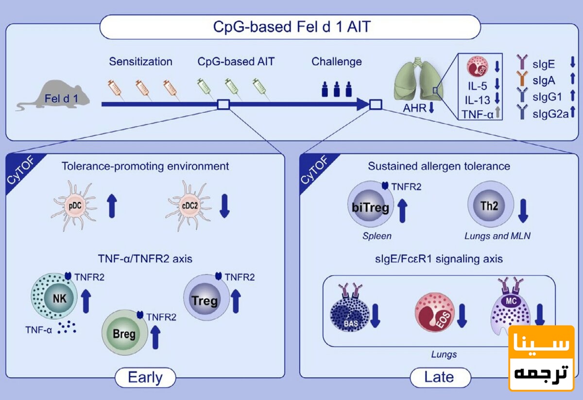 چکیده گرافیکی
