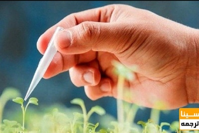 آماده‌سازی محیط‌ کشت‌های پایه و آنتی‌بیوتیک‌ها در پژوهشگاه زیست فناوری