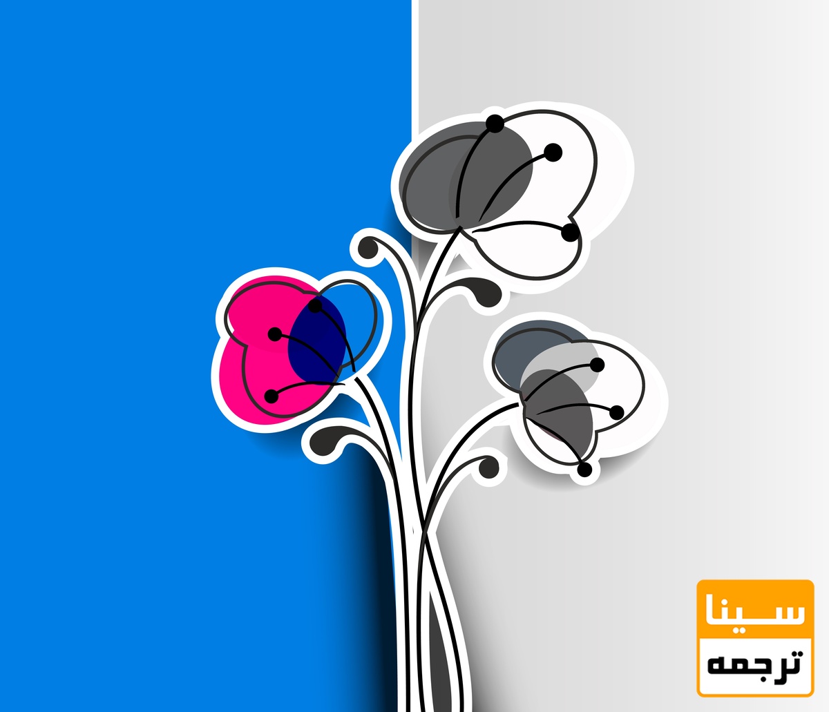 سیاه سفید یا رنگی