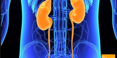 لیست مجلات ISI اورولوژی و کلیه شناسی