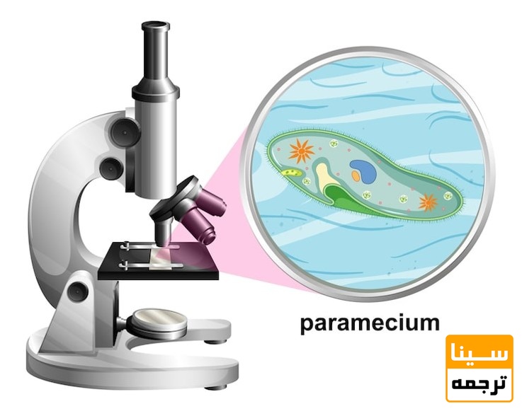 میکروبیولوژی