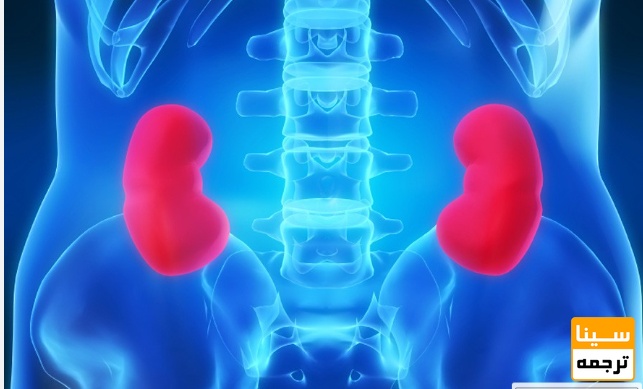 لیست مجلات ISI اورولوژی و کلیه شناسی