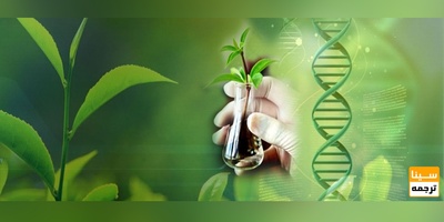 ترجمه تخصصی متون زیست شناسی