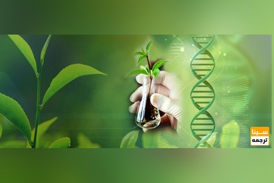 ترجمه تخصصی متون زیست شناسی