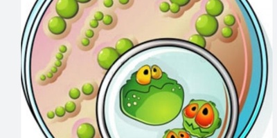 لیست مجلات ISI انگل شناسی