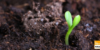 دانلود سوالات و پاسخنامه رشته مدیریت حاصل خیزی و زیست فناوری خاک مقطع دکتری سال96