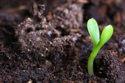 دانلود سوالات و پاسخنامه رشته مدیریت حاصل خیزی و زیست فناوری خاک مقطع دکتری سال96