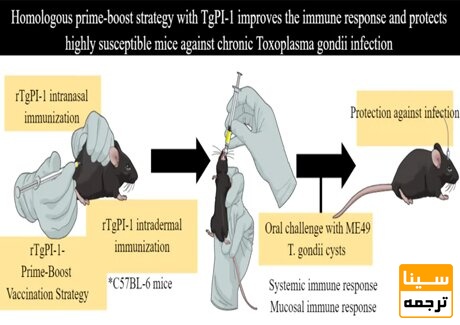 نمونه ای از چکیده گرافیکی به سبک کمیک