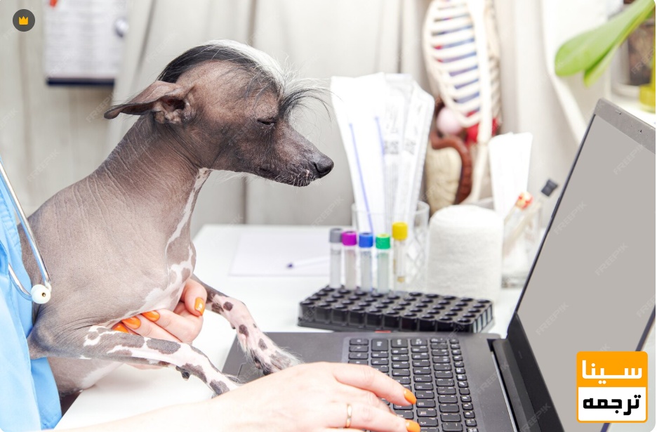 مراحل چاپ مقاله ISI در رشته دامپزشکی