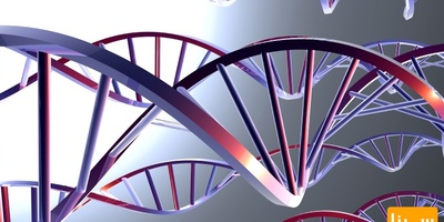 دانلود سوالات و پاسخنامه رشته بیوشیمی مقطع دکتری سال96