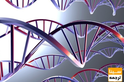 دانلود سوالات و پاسخنامه رشته بیوشیمی مقطع دکتری سال96