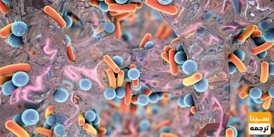 دانلود سوالات و پاسخنامه رشته باکتری شناسی مقطع دکتری سال96