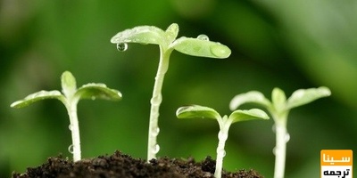 مهندسی کشاورزی گیاه پزشکی