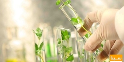 دانلود سوالات و پاسخنامه رشته ژنتیک و به نژادی گیاهی مقطع دکتری سال96