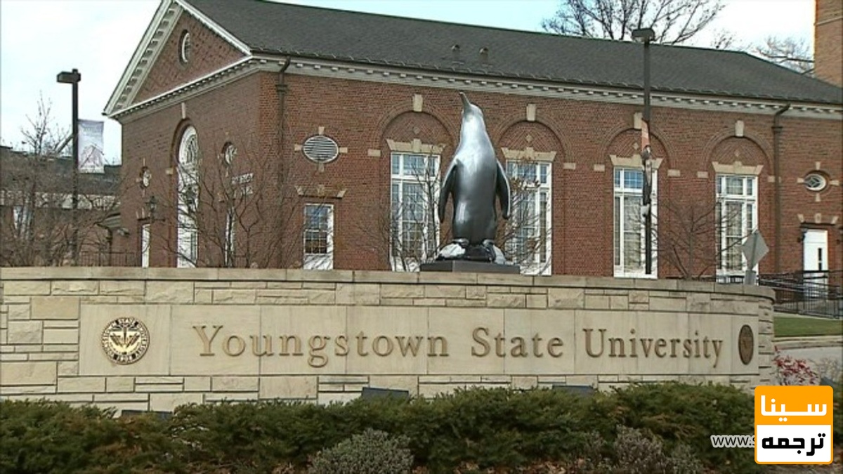 دانشگاه YSU