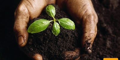 دانلود سوالات و پاسخنامه رشته مدیریت منابع خاک مقطع دکتری سال96-93