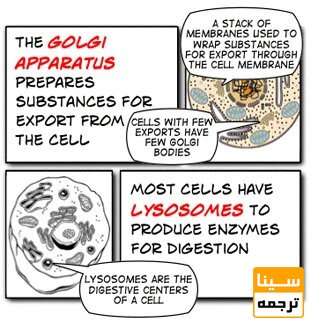 نمونه ای از چکیده گرافیکی به سبک کمیک