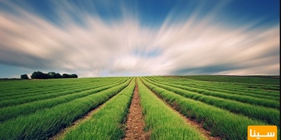 دانلود سوالات و پاسخنامه رشته علوم و مهندسی آب - هواشناسی کشاورزی مقطع دکتری سال96-95