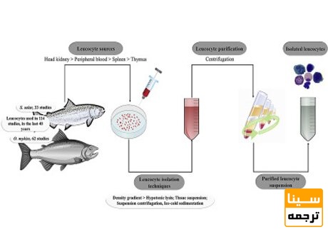 نمونه ای از چکیده گرافیکی به سبک کمیک