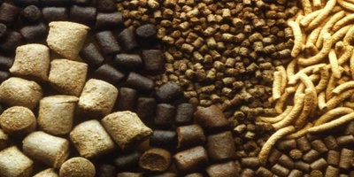 دانلود سوالات و پاسخنامه رشته بهداشت خوراک دام مقطع دکتری سال96