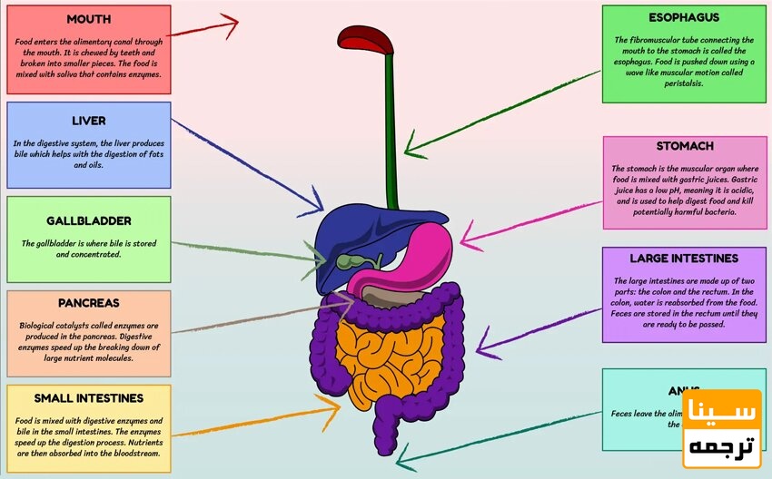 چکیده گرافیکی دیاگرامی
