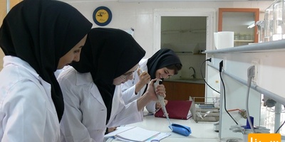 دانلود سوالات و پاسخنامه رشته بیوتکنولوژی کشاورزی مقطع دکتری سال96