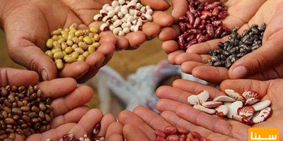 دانلود سوالات و پاسخنامه رشته بوم‌شناسی زراعی ( اگرواکولوژی ) مقطع دکتری سال97-96