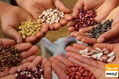 دانلود سوالات و پاسخنامه رشته بوم‌شناسی زراعی ( اگرواکولوژی ) مقطع دکتری سال97-96