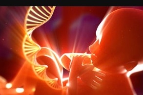 نهمین کنگره بین المللی طب تولید مثل یزد