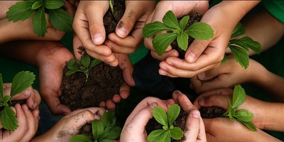 دانلود سوالات و پاسخنامه رشته توسعه کشاورزی مقطع دکتری سال96-93