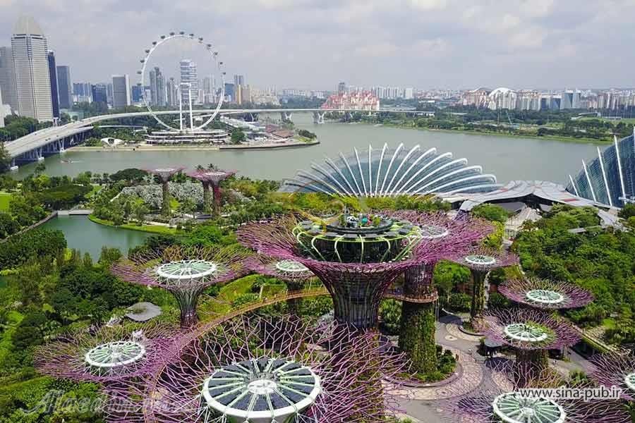 شرایط و مدارک مورد نیاز برای اخذ پذیرش و ویزای تحصیلی سنگاپور